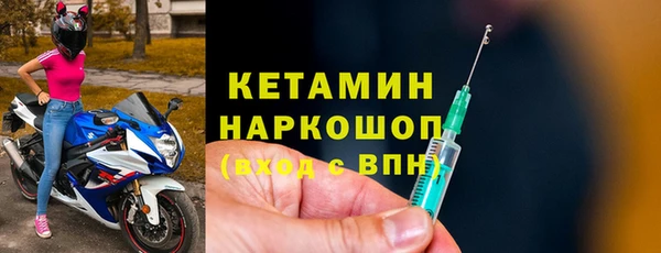 дживик Инта
