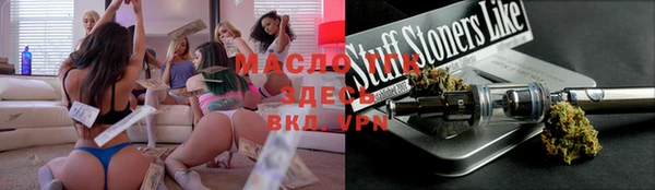 дживик Инта