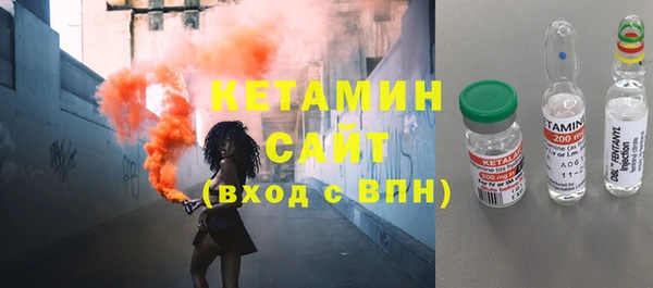 дживик Инта