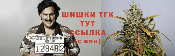 дживик Инта