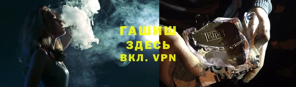 дживик Инта