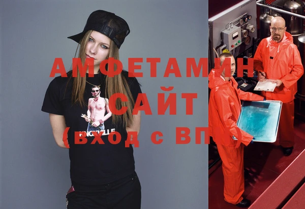 дживик Инта