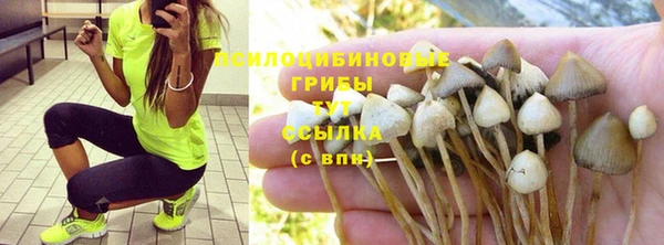 дживик Инта